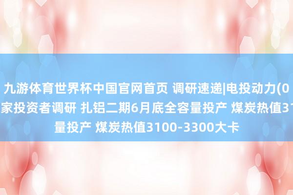 九游体育世界杯中国官网首页 调研速递|电投动力(002128)收受多家投资者调研 扎铝二期6月底全容量投产 煤炭热值3100-3300大卡