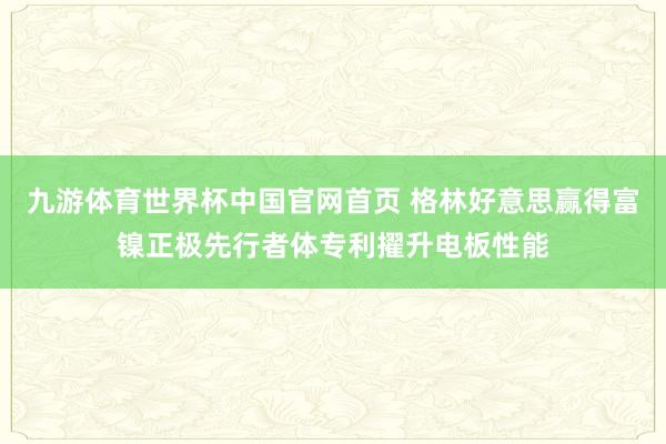 九游体育世界杯中国官网首页 格林好意思赢得富镍正极先行者体专利擢升电板性能