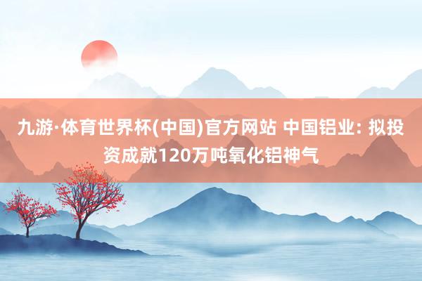 九游·体育世界杯(中国)官方网站 中国铝业: 拟投资成就120万吨氧化铝神气