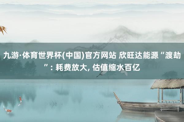 九游·体育世界杯(中国)官方网站 欣旺达能源“渡劫”: 耗费放大, 估值缩水百亿