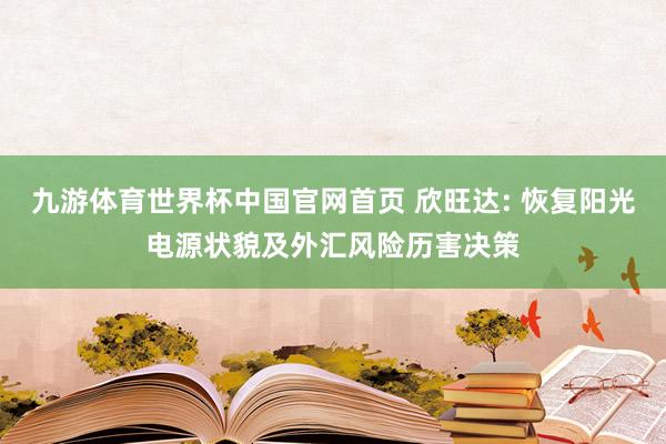 九游体育世界杯中国官网首页 欣旺达: 恢复阳光电源状貌及外汇风险历害决策