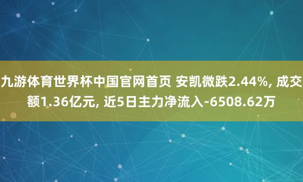 九游体育世界杯中国官网首页 安凯微跌2.44%, 成交额1.36亿元, 近5日主力净流入-6508.62万