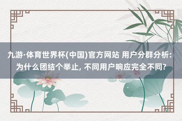 九游·体育世界杯(中国)官方网站 用户分群分析: 为什么团结个举止， 不同用户响应完全不同?
