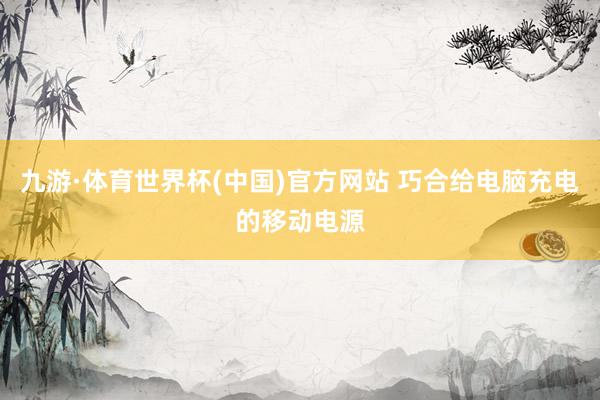九游·体育世界杯(中国)官方网站 巧合给电脑充电的移动电源