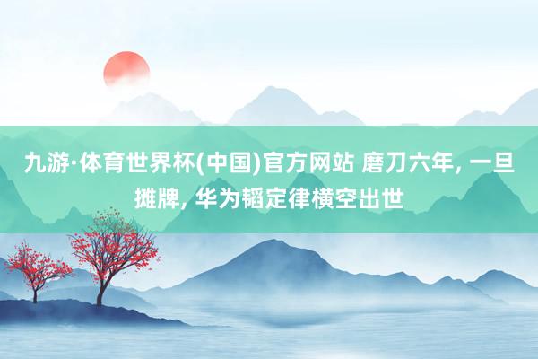 九游·体育世界杯(中国)官方网站 磨刀六年, 一旦摊牌, 华为韬定律横空出世