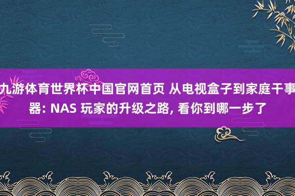 九游体育世界杯中国官网首页 从电视盒子到家庭干事器: NAS 玩家的升级之路, 看你到哪一步了