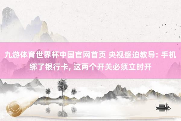 九游体育世界杯中国官网首页 央视蹙迫教导: 手机绑了银行卡, 这两个开关必须立时开