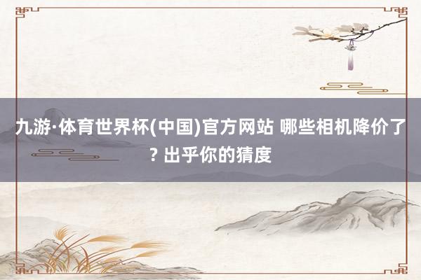 九游·体育世界杯(中国)官方网站 哪些相机降价了? 出乎你的猜度