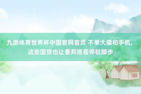 九游体育世界杯中国官网首页 不单大疆和手机, 这些国货也让番邦搭客停驻脚步