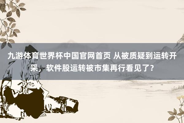 九游体育世界杯中国官网首页 从被质疑到运转开采,软件股运转被市集再行看见了?