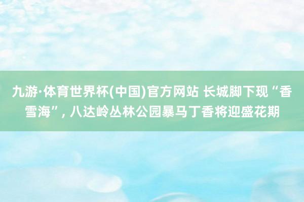九游·体育世界杯(中国)官方网站 长城脚下现“香雪海”, 八达岭丛林公园暴马丁香将迎盛花期