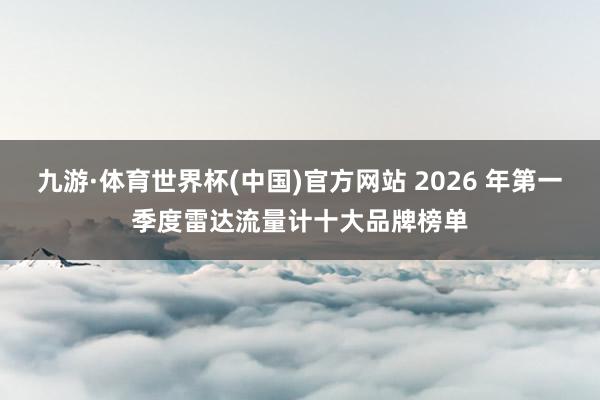 九游·体育世界杯(中国)官方网站 2026 年第一季度雷达流量计十大品牌榜单