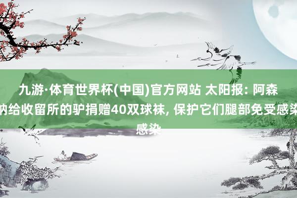 九游·体育世界杯(中国)官方网站 太阳报: 阿森纳给收留所的驴捐赠40双球袜, 保护它们腿部免受感染