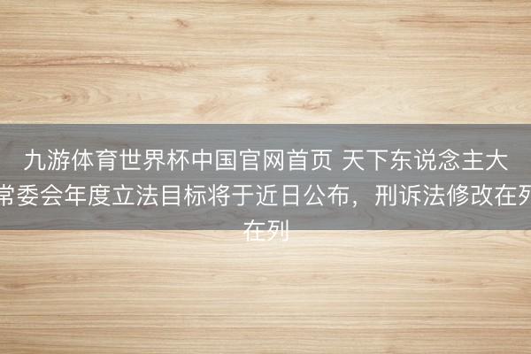 九游体育世界杯中国官网首页 天下东说念主大常委会年度立法目标将于近日公布,刑诉法修改在列