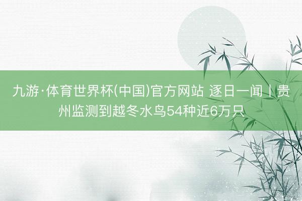 九游·体育世界杯(中国)官方网站 逐日一闻丨贵州监测到越冬水鸟54种近6万只